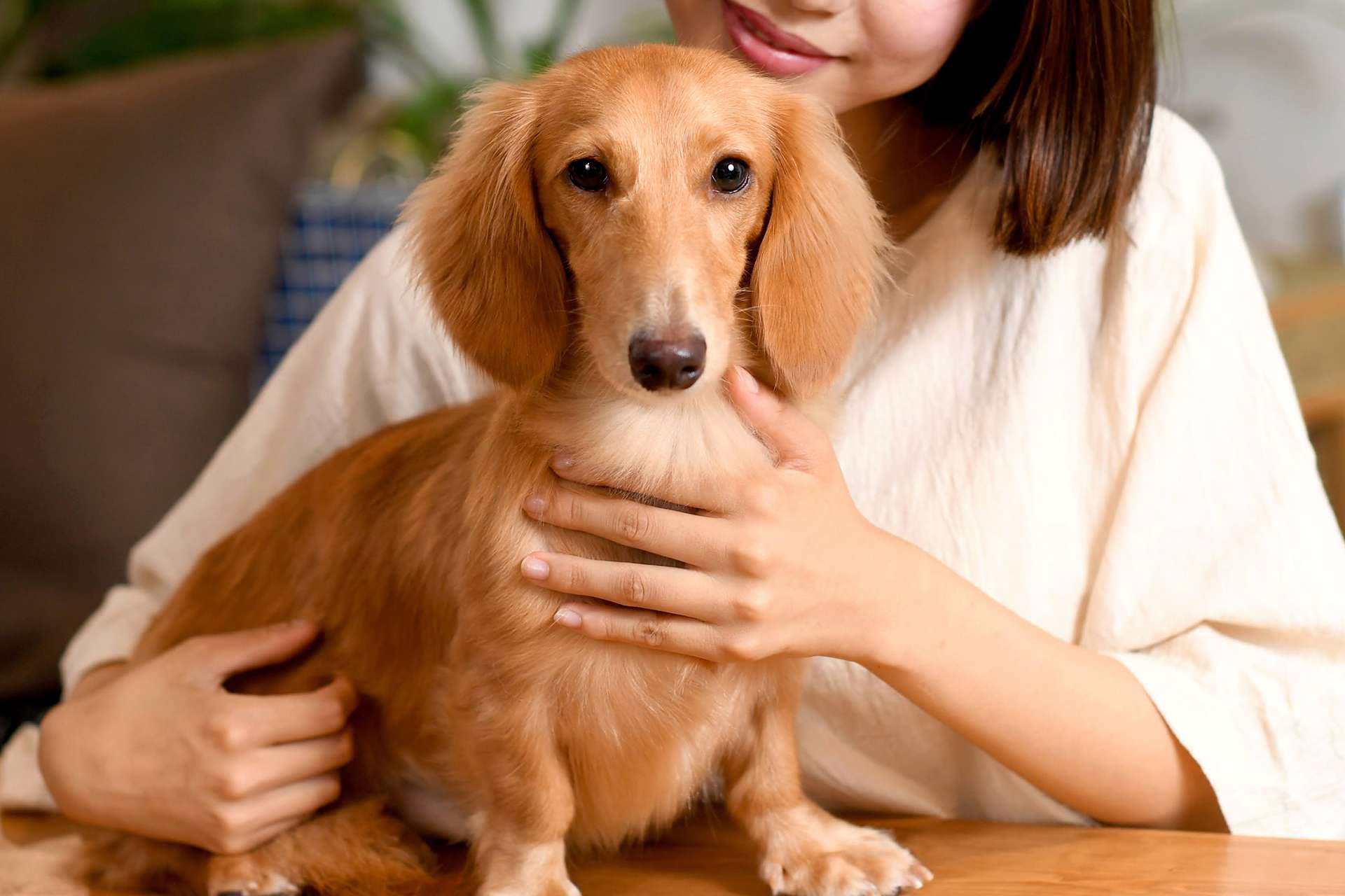 Wans At Home 浦和の外観
